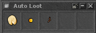 Auto Loot window with five slots opened by Ctrl+H