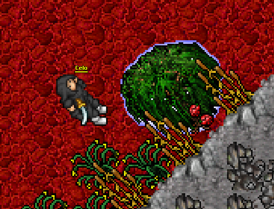 The enchanted tree that grows red berries